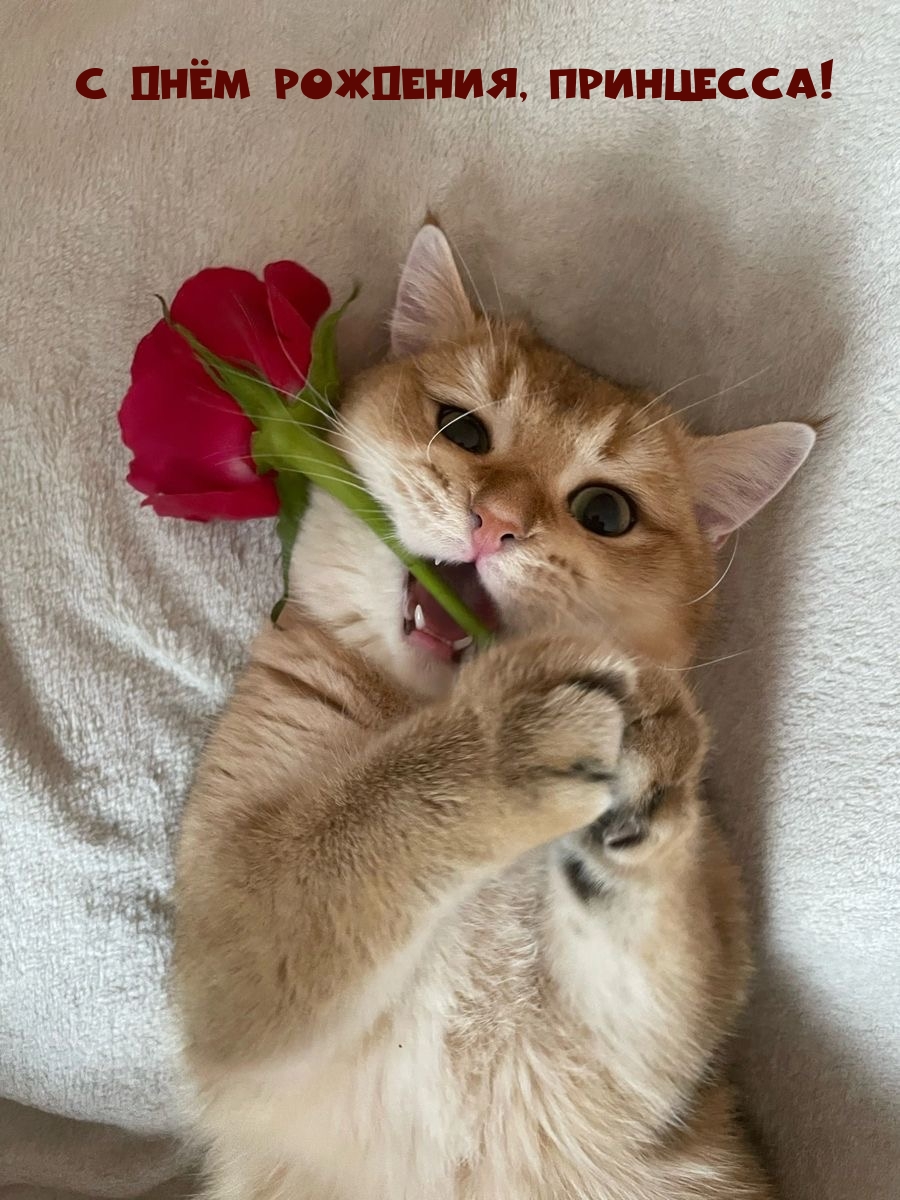 С днём рождения, принцесса!