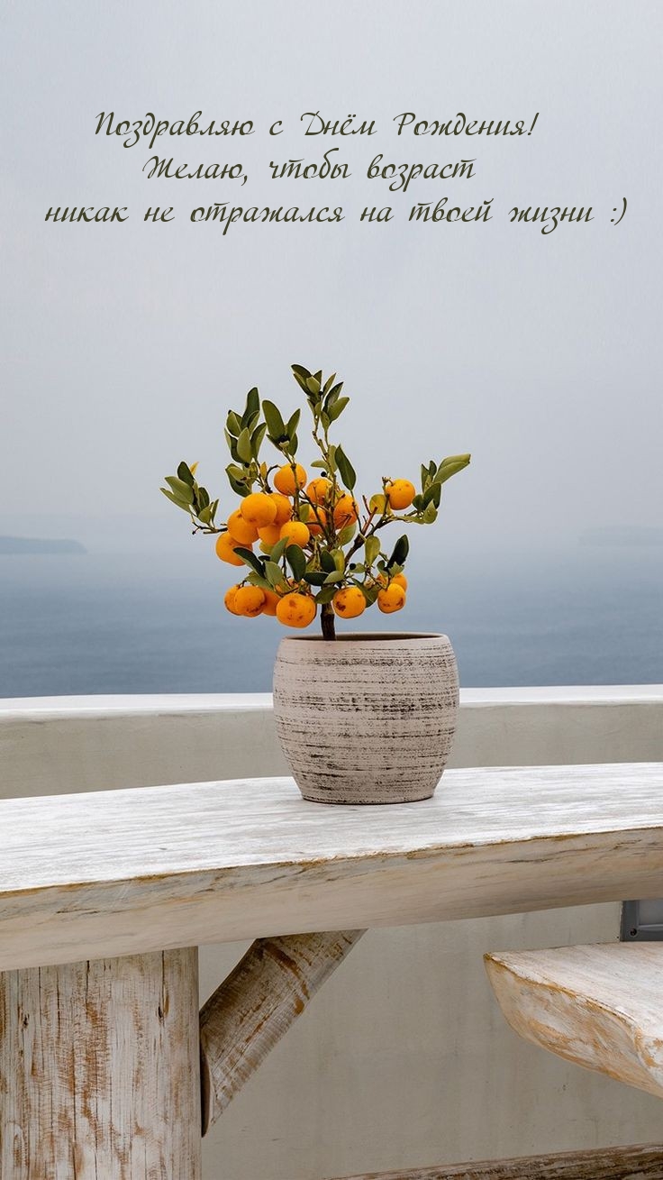 С Днём Рождения! Чтобы возраст никак не отражался на твоей жизни :)