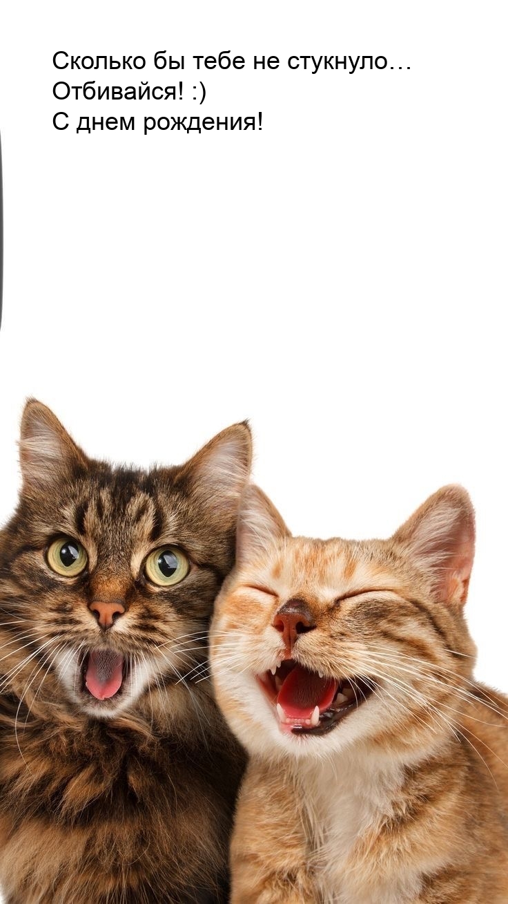 Сколько бы тебе не стукнуло… Отбивайся! :) С днем рождения!