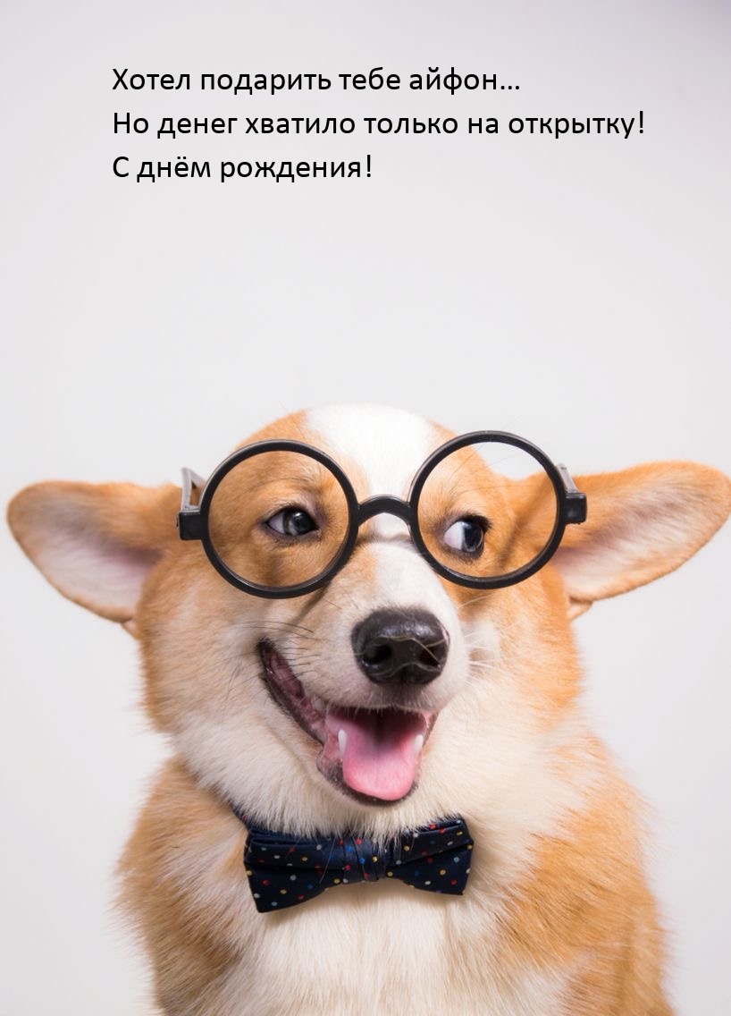 Хотел подарить тебе айфон… Но денег хватило только на открытку!