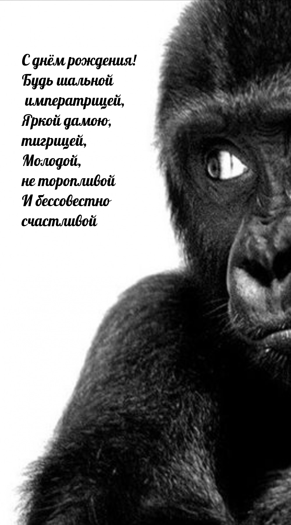 С днём рождения! Будь шальной императрицей, яркой дамою