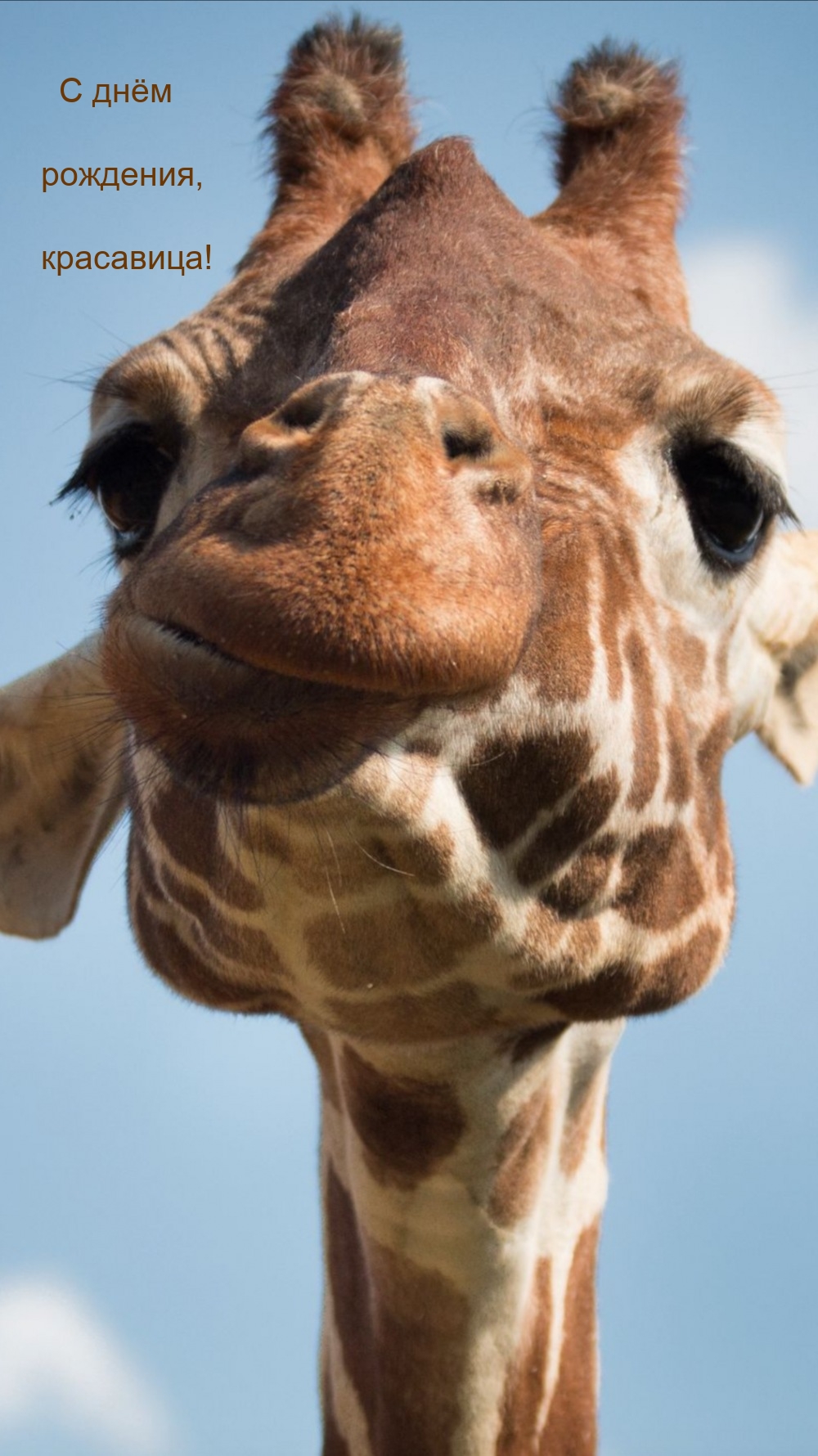 С днём рождения, красавица!