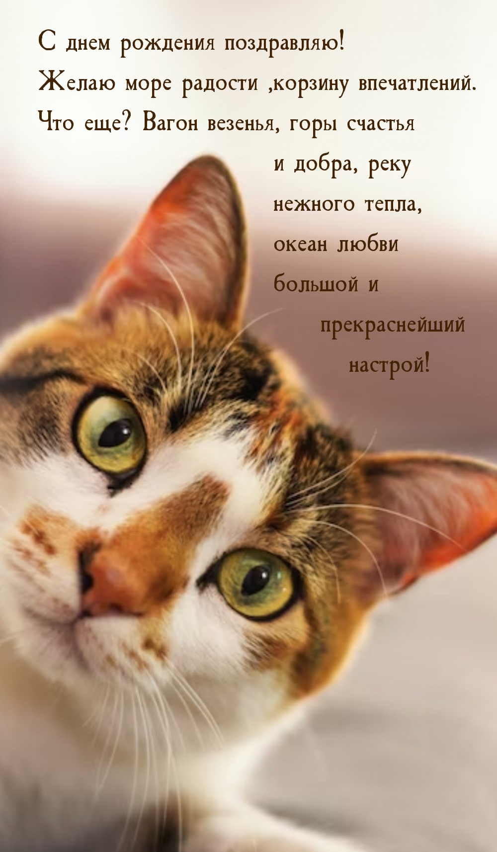 С днем рождения! Желаю море радости, корзину впечатлений. 