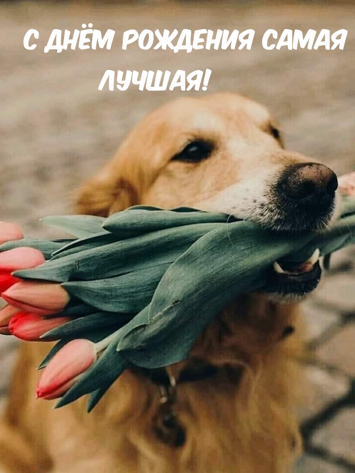 С днём рождения самая лучшая!