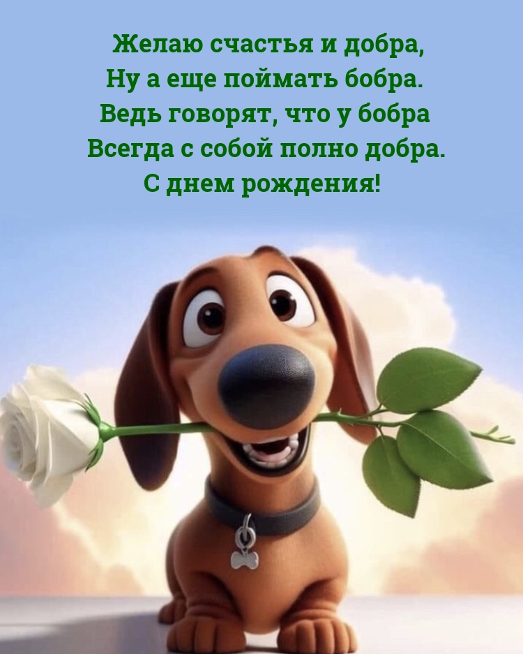 Желаю счастья и добра, ну а еще поймать бобра. С днем рождения!