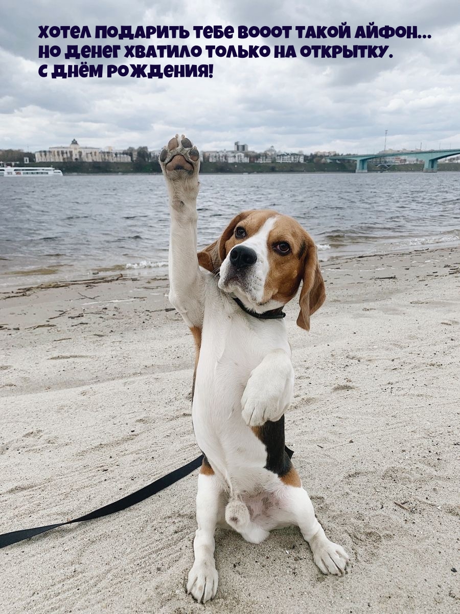 С днём рождения! Хотел подарить тебе вооот такой айфон…