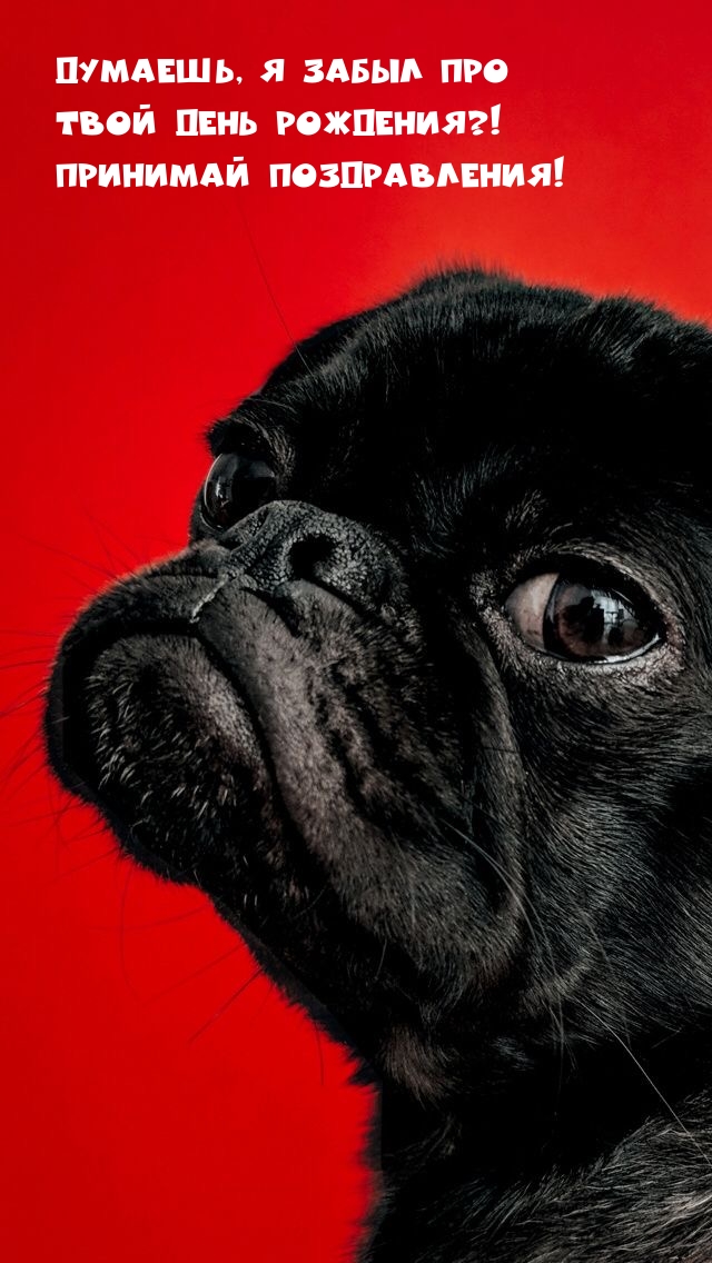 Думаешь, я забыл про твой день рождения?! Принимай поздравления!