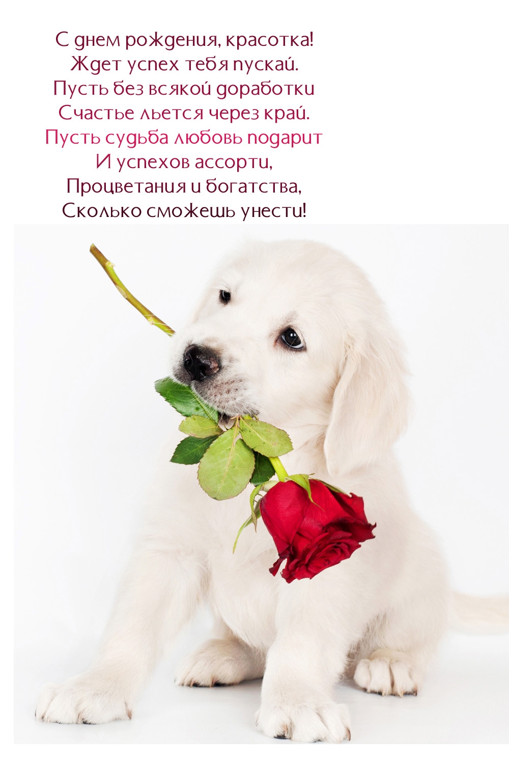 С днем рождения, красотка! Ждет успех тебя пускай.