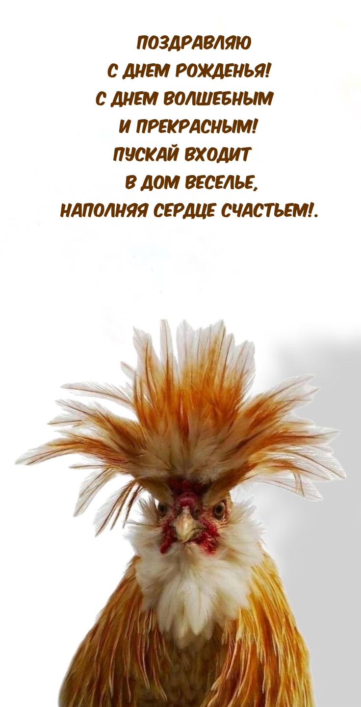 С днем рожденья! С днем волшебным и прекрасным! 