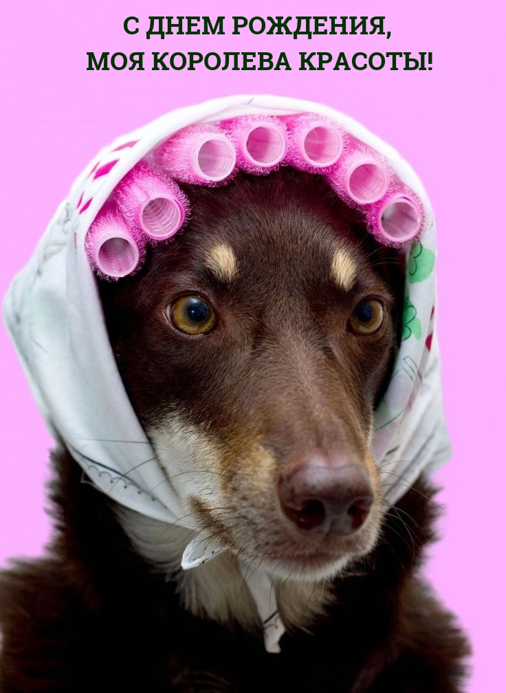 С днем рождения, моя королева красоты!