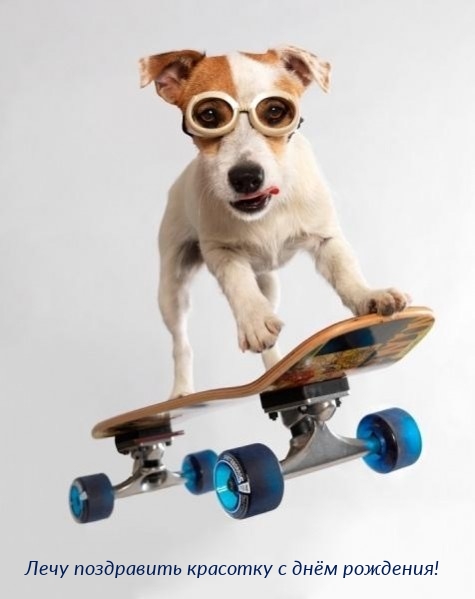 Лечу поздравить красотку с днём рождения!