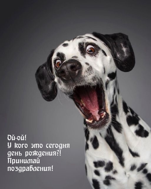 Ой-ой! У кого это сегодня день рождения?!