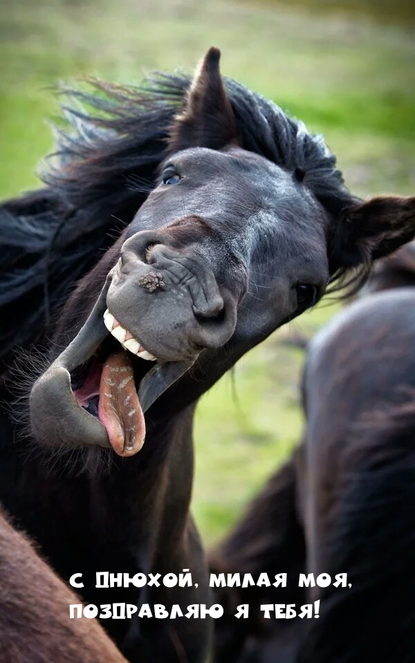 С днюхой, милая моя, поздравляю я тебя!