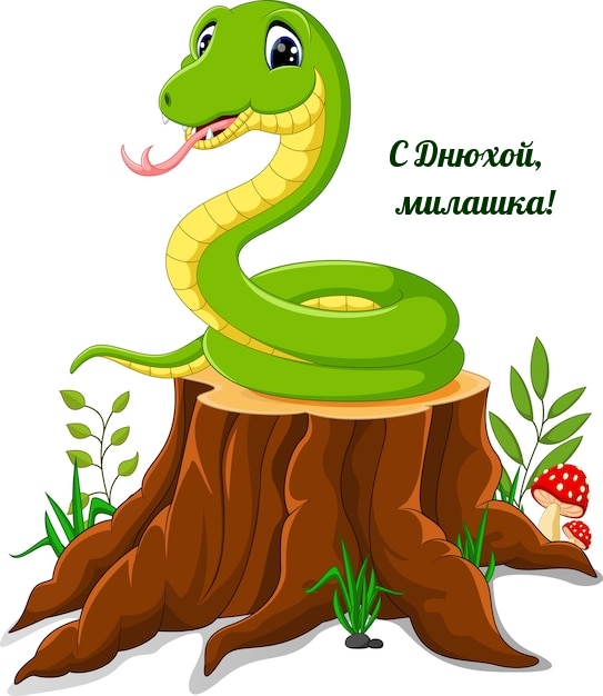 С Днюхой, милашка!