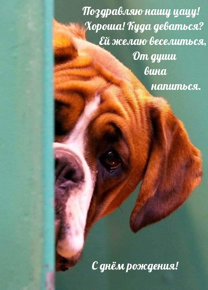 Поздравляю нашу цацу! Хороша! Куда деваться? Ей желаю веселиться