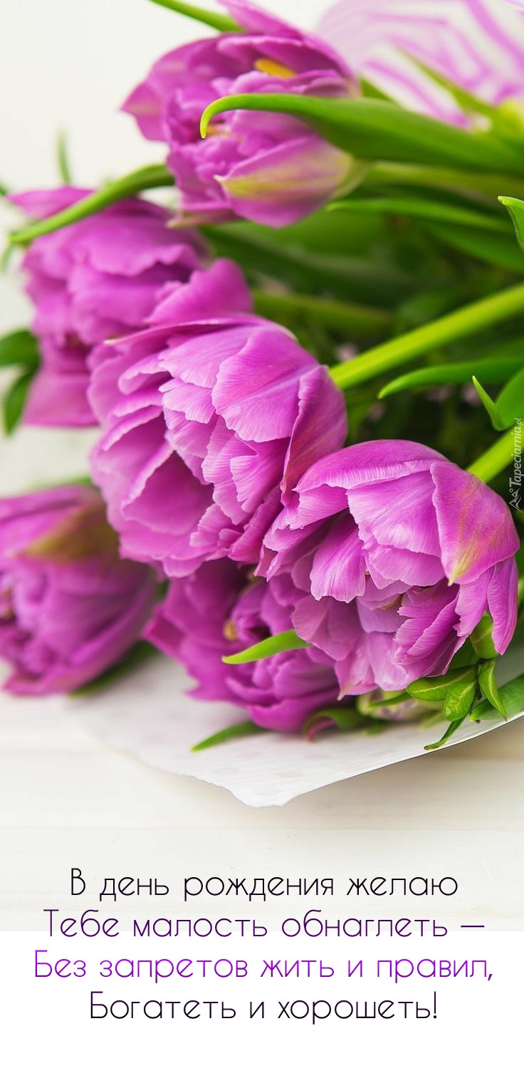 В день рождения желаю малость обнаглеть — без запретов жить