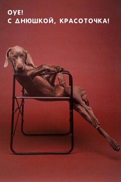 Оуе! С днюшкой, красоточка!