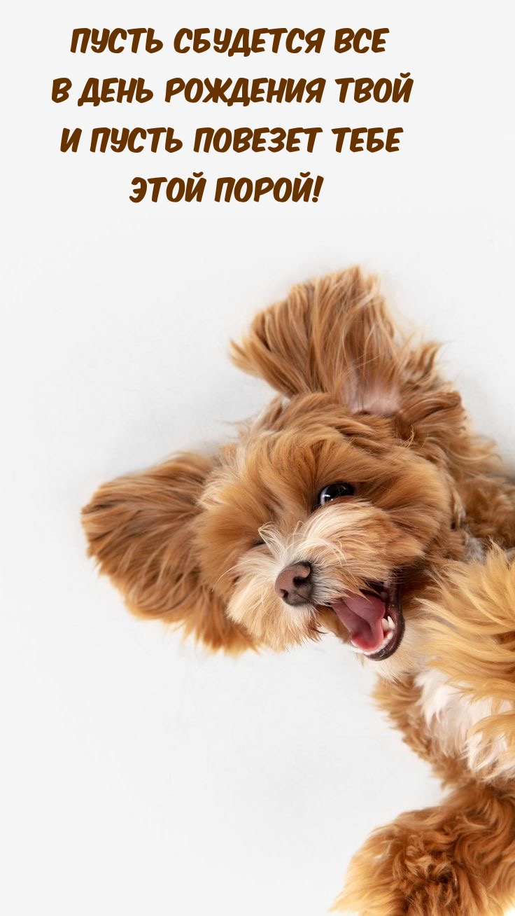 Пусть сбудется все в день рождения твой и пусть повезет этой порой!