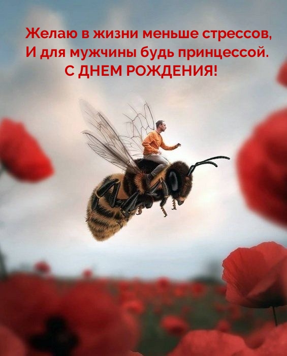 Желаю в жизни меньше стрессов, и для мужчины будь принцессой.