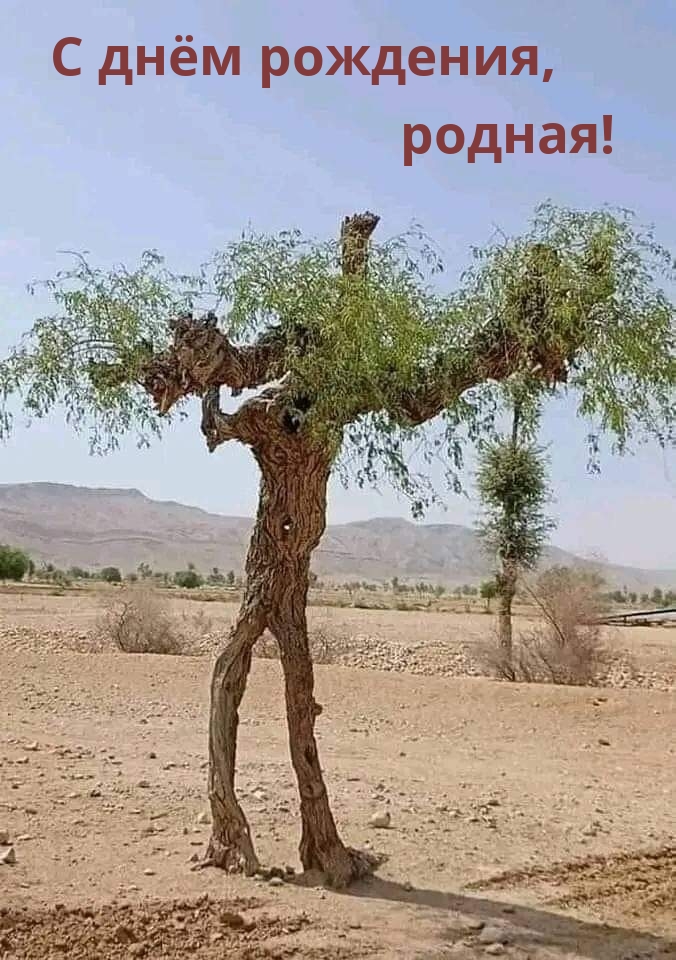 С днём рождения, родная!